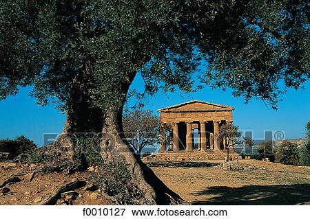 Italy, Sicily, Segesta, theatre View Large Photo Image Stock Photo - Italy, Sicily, Segesta, theatre. Fotosearch
