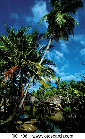 Cambodia, near Siem Reap, Khmer house View Large Photo Image Stock Image - Cambodia, near Siem Reap, Khmer house. Fotosearch