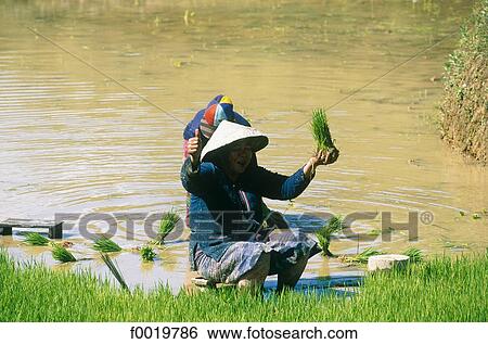 Laos, Vang Vieng View Large Photo Image Stock Photograph - Laos, Vang Vieng. Fotosearch