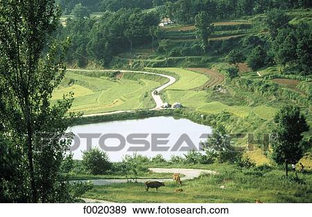 South Korea, Pusan region View Large Photo Image Stock Photo - South Korea, Pusan region. Fotosearch