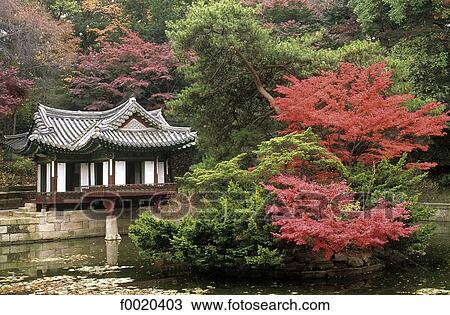 South Korea, Seoul, Changdokkung palace, the Secret garden View Large Photo Image Stock Image - South Korea, Seoul, Changdokkung palace, the Secret garden. Fotosearch