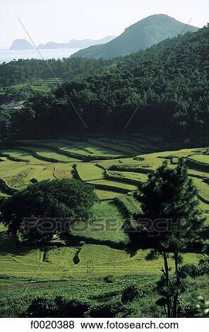 South Korea, south coast landscape View Large Photo Image Stock Photo - South Korea, south coast landscape. Fotosearch