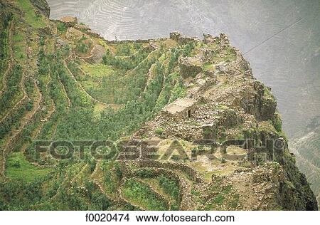 Yemen, Shahara, qat and sorgho fields View Large Photo Image Picture - Yemen, Shahara, qat and sorgho fields. Fotosearch