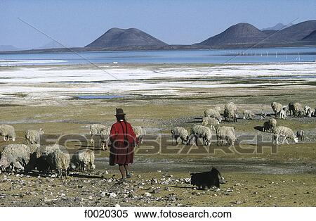Stock Photography - Bolivia, Coipasa salt marsh. Fotosearch
