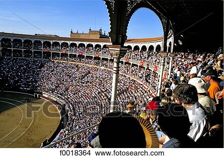 Spain, Madrid, bullfighting View Large Photo Image Picture - Spain, Madrid, bullfighting. Fotosearch