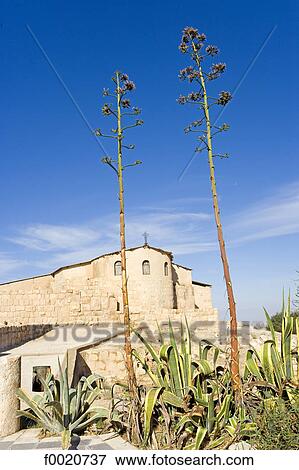 Stock Photo - Jordan, mount Nebo, Byzantine church. Fotosearch