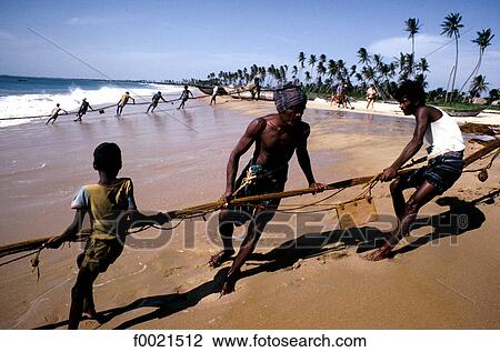 Sri Lanka, Kalkudah, fishermen View Large Photo Image Stock Image - Sri Lanka, Kalkudah, fishermen. Fotosearch