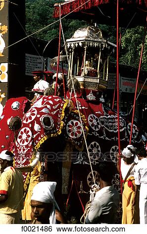 Sri Lanka, Kandy, Perahera Celebration, procession View Large Photo Image Stock Photograph - Sri Lanka, Kandy, Perahera Celebration, procession. Fotosearch