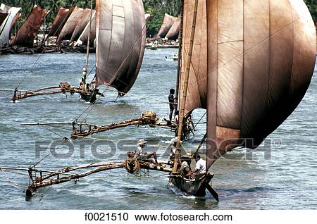 Stock Image - Sri Lanka, Negombo, return from fishing. Fotosearch