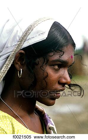 Sri Lanka, Pussellawa, tea plantation, Tamil woman picking tea View Large Photo Image Stock Photography - Sri Lanka, Pussellawa, tea plantation, Tamil woman picking tea. Fotosearch