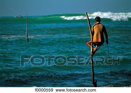 Sri Lanka, South, traditional fisherman View Large Photo Image Stock Photo - Sri Lanka, South, traditional fisherman. Fotosearch