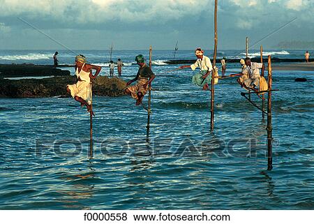 Sri Lanka, South, traditional fishermen View Large Photo Image Stock Photo - Sri Lanka, South, traditional fishermen. Fotosearch