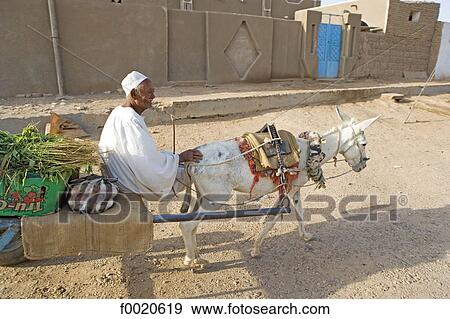 Sudan, Bayuda desert, Dongola, shopping cart View Large Photo Image Stock Photo - Sudan, Bayuda desert, Dongola, shopping cart. Fotosearch