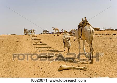Stock Image - Sudan, Eastern Sahara, Bayuda desert, bedouin. Fotosearch