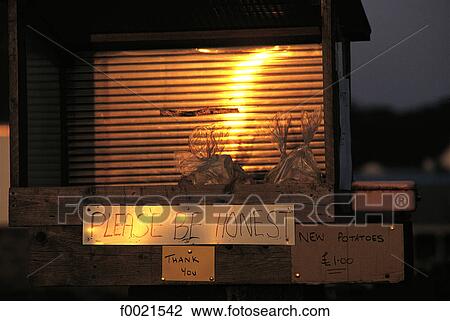 Channel Islands, Guernsey, potatoes to go View Large Photo Image Stock Image - Channel Islands, Guernsey, potatoes to go. Fotosearch