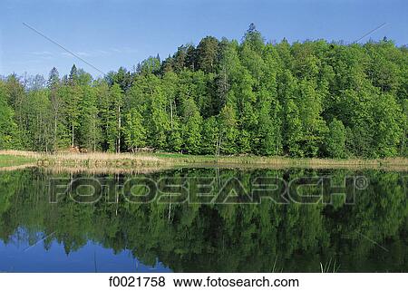 Latvia, Sigulda, Gauja National Park View Large Photo Image Stock Photo - Latvia, Sigulda, Gauja National Park. Fotosearch