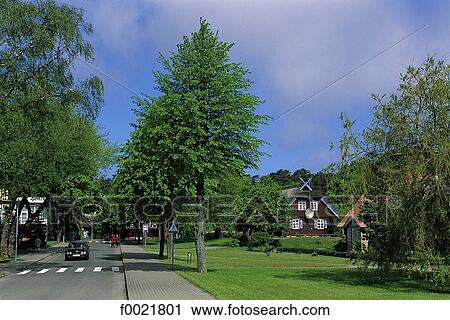 Lithuania, Neringa Peninsula, Nida View Large Photo Image Stock Image - Lithuania, Neringa Peninsula, Nida. Fotosearch