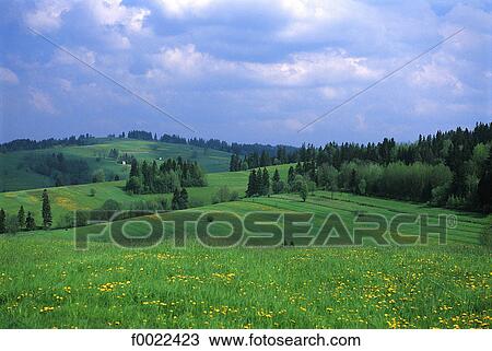 Stock Image - Poland, near Zakopane, Chocholow. Fotosearch