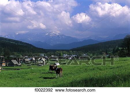 Poland, near Zakopane View Large Photo Image Stock Image - Poland, near Zakopane. Fotosearch