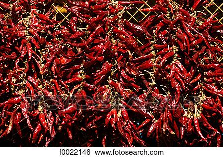 Hungary, Budapest, paprika View Large Photo Image Stock Photograph - Hungary, Budapest, paprika. Fotosearch