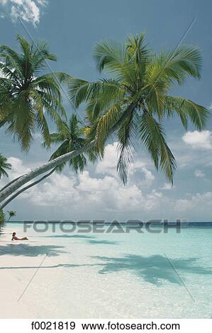 Models in Maldives View Large Photo Image Stock Photo - Models in Maldives. Fotosearch