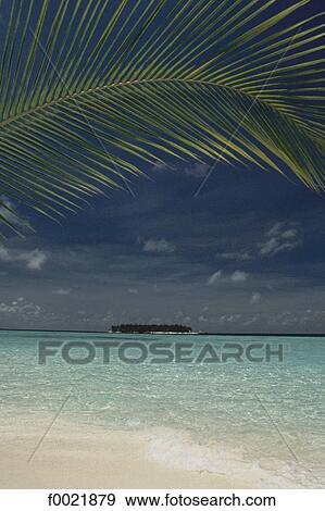 Models in Maldives View Large Photo Image Stock Photo - Models in Maldives. Fotosearch