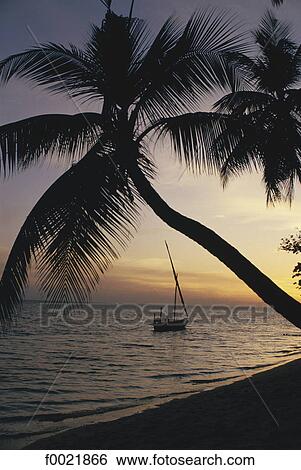 Models in Maldives View Large Photo Image Stock Photograph - Models in Maldives. Fotosearch