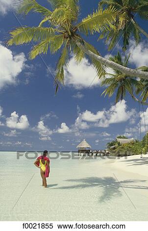 Models in Maldives View Large Photo Image Stock Photography - Models in Maldives. Fotosearch