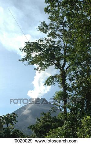 Costa Rica, Arenal Volcano National Park View Large Photo Image Stock Photo - Costa Rica, Arenal Volcano National Park. Fotosearch