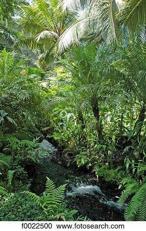 Costa Rica, Arenal Volcano National Park, Tabacon, hot springs View Large Photo Image Stock Image - Costa Rica, Arenal Volcano National Park, Tabacon, hot springs. Fotosearch