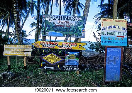 Costa Rica, Caribbean coast, Cahuita National Park, hotels and restaurants advertising View Large Photo Image Stock Image - Costa Rica, Caribbean coast, Cahuita National Park, hotels and restaurants advertising. Fotosearch
