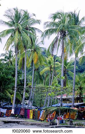 Stock Image - Costa Rica, Manuel Antonio National Park. Fotosearch