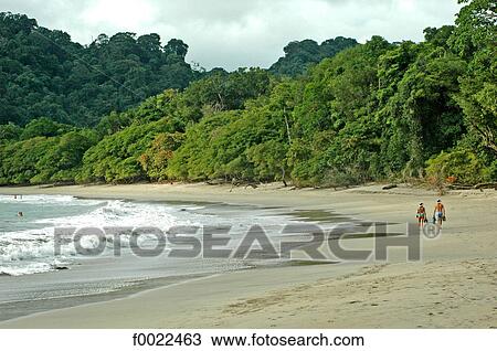 Stock Image - Costa Rica, Manuel Antonio National Park, beach. Fotosearch