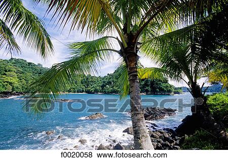 Costa Rica, Pacific coast landscape View Large Photo Image Stock Photo - Costa Rica, Pacific coast landscape. Fotosearch