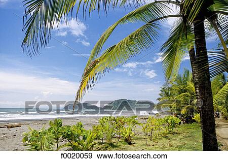 Costa Rica, Pacific coast landscape View Large Photo Image Stock Photo - Costa Rica, Pacific coast landscape. Fotosearch