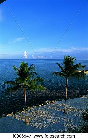 Stock Photo - Florida, Coastal landscape. Fotosearch