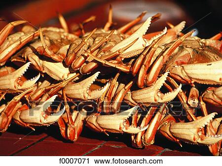 California, San Francisco, crab pincers View Large Photo Image Stock Image - California, San Francisco, crab pincers. Fotosearch