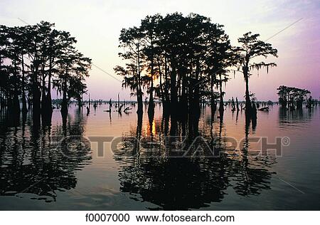Louisiana, Atchafalaya River View Large Photo Image Stock Image - Louisiana, Atchafalaya River. Fotosearch