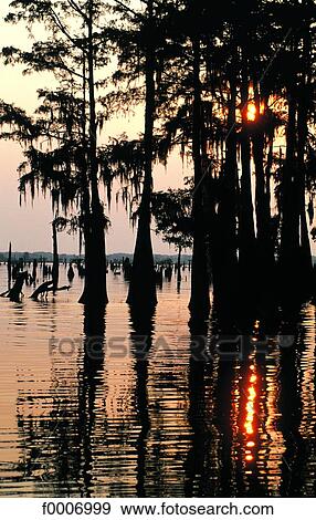 Stock Photo - Louisiana, Atchafalaya River. Fotosearch