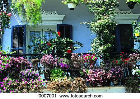 Louisiana, New Orleans, flowered balcony View Large Photo Image Stock Image - Louisiana, New Orleans, flowered balcony. Fotosearch