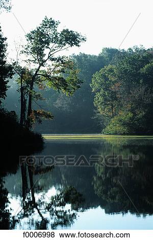 Stock Photo - Louisiana, Pointe Coupee, Parlange plantation. Fotosearch