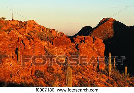 Stock Image - Arizona. Fotosearch