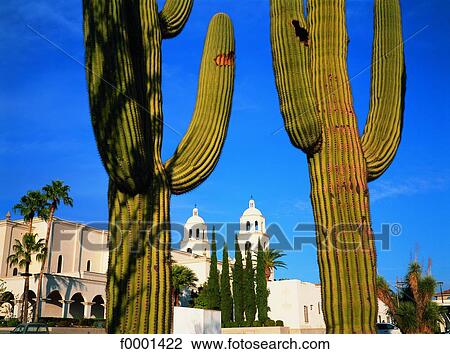 Arizona, Tucson, Saint Catherine cathedral View Large Photo Image Stock Image - Arizona, Tucson, Saint Catherine cathedral. Fotosearch