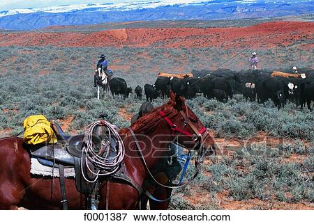 Wyoming, cowboy View Large Photo Image Stock Photo - Wyoming, cowboy. Fotosearch