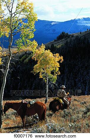 Wyoming, Yellowstone Park View Large Photo Image Stock Photograph - Wyoming, Yellowstone Park. Fotosearch