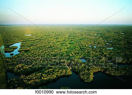 Florida, Everglades, aerial view View Large Photo Image Stock Image - Florida, Everglades, aerial view. Fotosearch