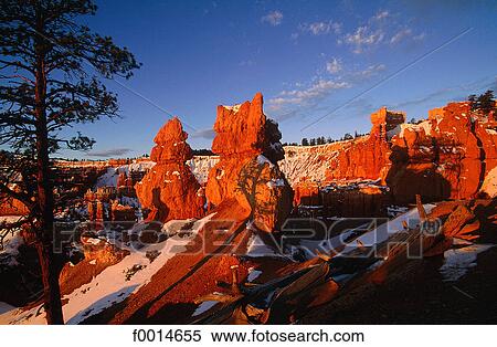 Utah, Bryce Canyon in winter View Large Photo Image Stock Photography - Utah, Bryce Canyon in winter. Fotosearch