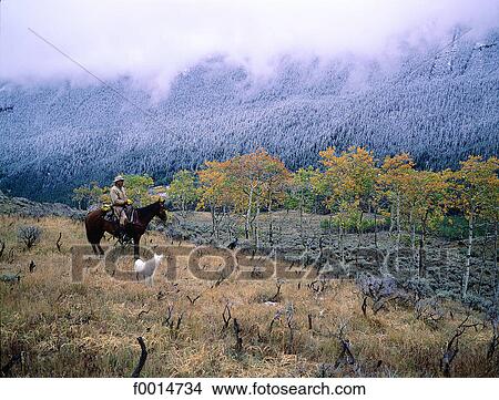 Wyoming, Big Horn mountains, cow-boy View Large Photo Image Picture - Wyoming, Big Horn mountains, cow-boy. Fotosearch