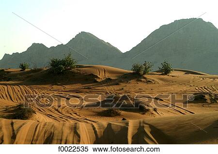 Stock Photography - United Arab Emirates, Dubai, desert, tire tracks. Fotosearch