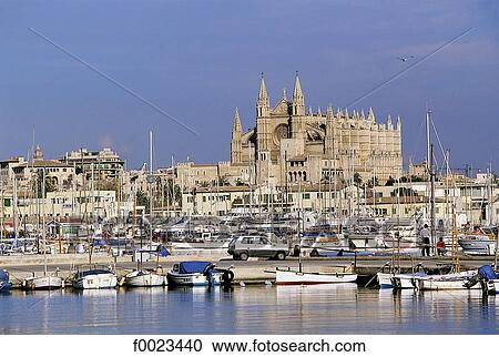Spain, Balearic Islands, Majorca, Palma de Majorca, port and cathedral View Large Photo Image Stock Image - Spain, Balearic Islands, Majorca, Palma de Majorca, port and cathedral. Fotosearch